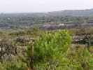 Finca San Jordi, Günter