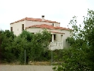 Image 15