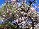 Propriété Rurale en Other