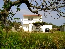 Casa de Campo, Horst
