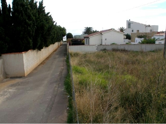 2859_1.jpg