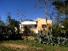 Image 37