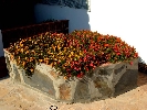 House in Vinaroz