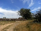 Finca Pozo Cervera