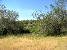 Plot of Land in Cálig
