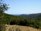 Finca Los Olivos, Andre
