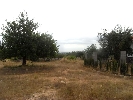 Image 13