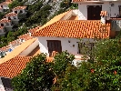 Image 15