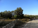 Propriété Rurale en Cervera