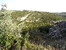 Propriété Rurale en Cervera