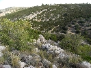 Propriété Rurale en Cervera