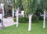 Casa en Peñiscola